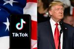 TikTok sagsøger Trump-administrationen for at forhindre app-forbud i USA